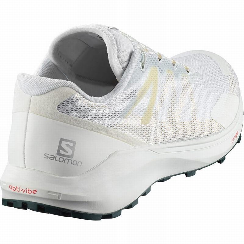 Salomon SENSE RIDE 3 Blancas | 0519FCHQN