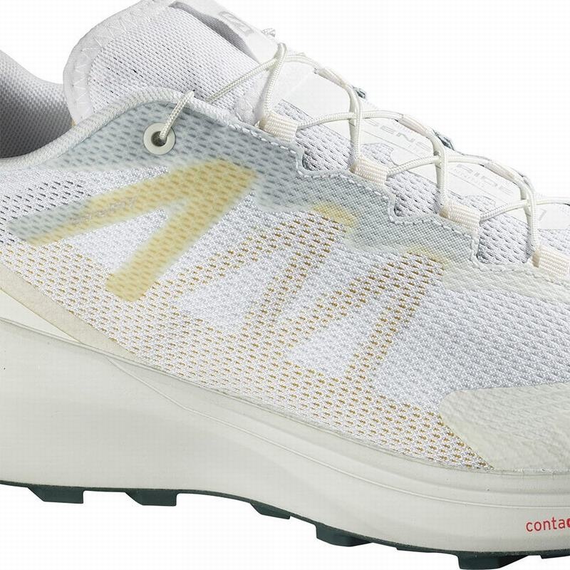 Salomon SENSE RIDE 3 Blancas | 0519FCHQN