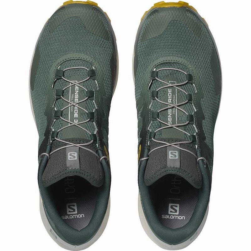 Salomon SENSE RIDE 3 Verde Oliva | 0547ZGEOK