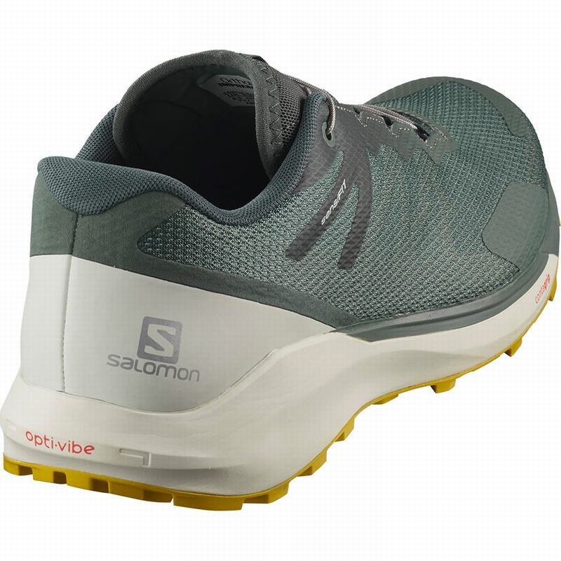 Salomon SENSE RIDE 3 Verde Oliva | 0547ZGEOK