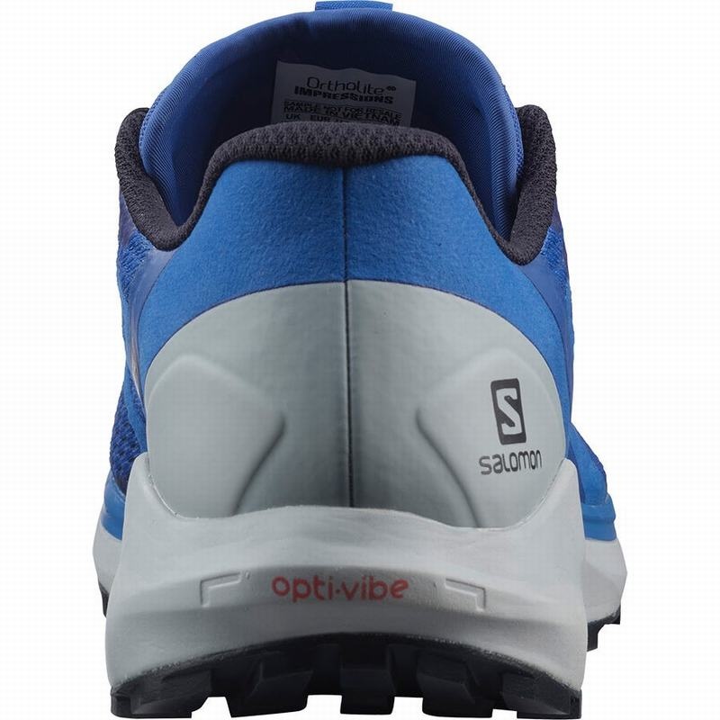 Salomon SENSE RIDE 4 Azules | 1893VPCHN