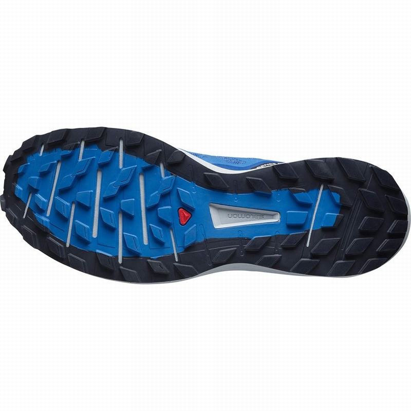 Salomon SENSE RIDE 4 Azules | 1893VPCHN