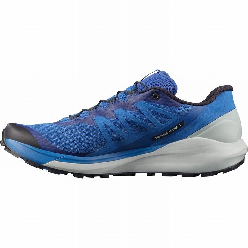 Salomon SENSE RIDE 4 Azules | 1893VPCHN