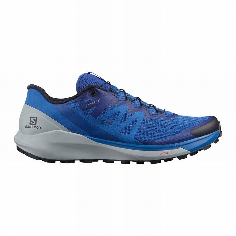 Salomon SENSE RIDE 4 Azules | 1893VPCHN