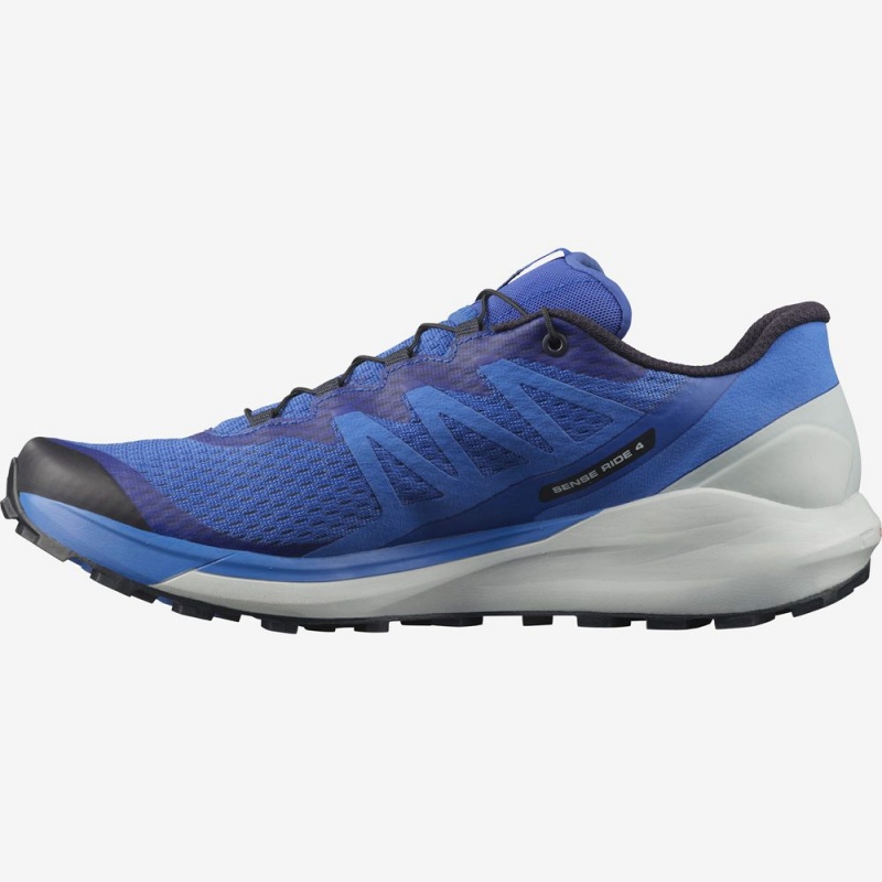 Salomon SENSE RIDE 4 Azules | 4205ZWRQU