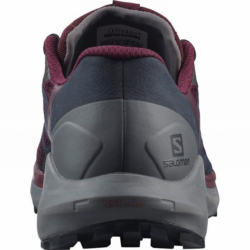 Salomon SENSE RIDE 4 Burdeos | 3140EPBKC