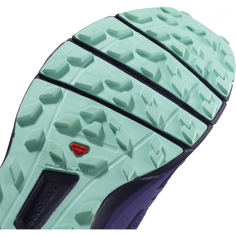 Salomon SENSE RIDE W Lavanda | 2931YHIBW