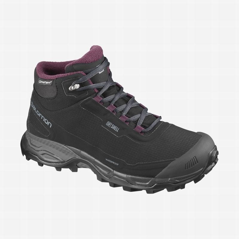 Salomon SHELTER SPIKES CLIMASALOMON WATERPROOF Negras | 4056UVZWE