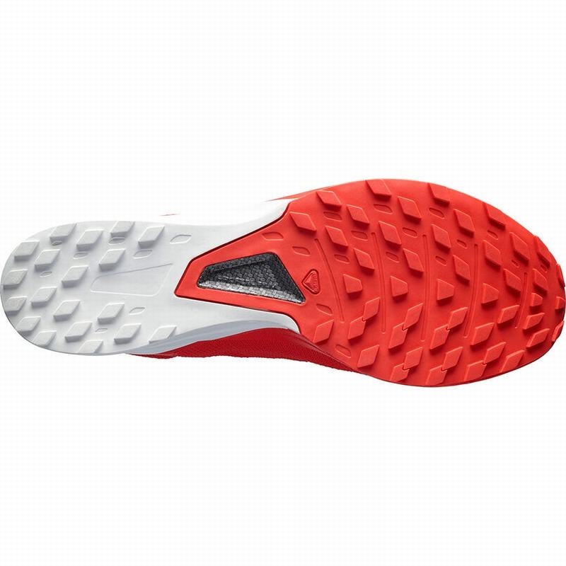 Salomon S/LAB SENSE 8 Rojas Blancas | 3492OCVES