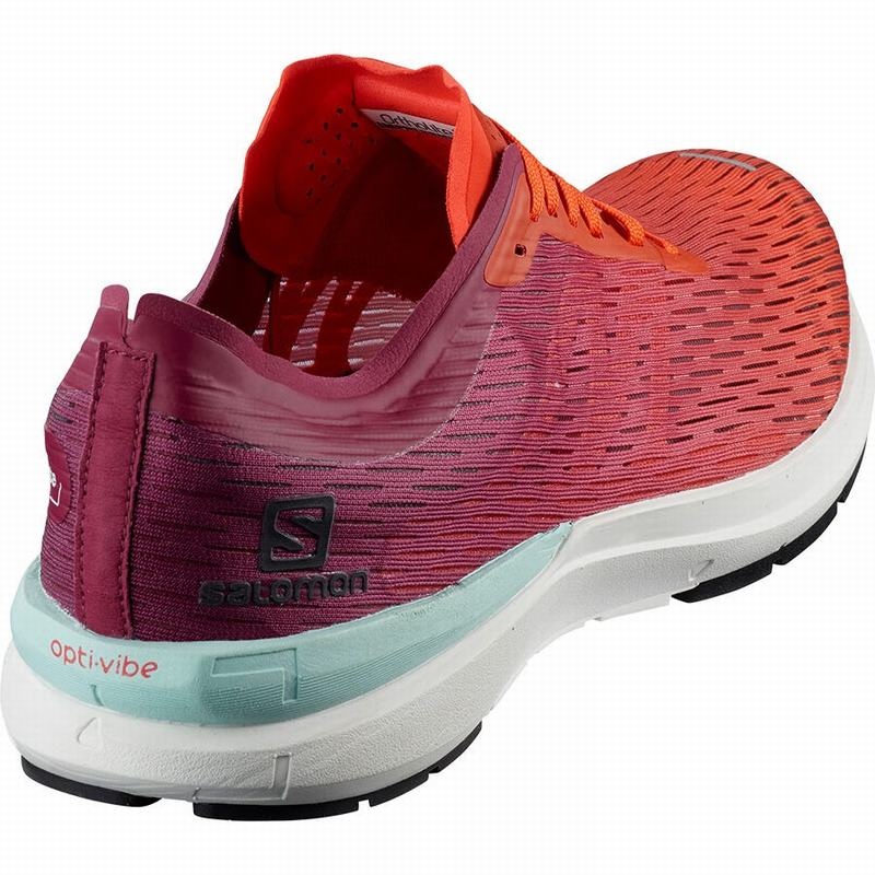 Salomon SONIC 3 ACCELERATE Rosas Blancas | 9637LCNSI