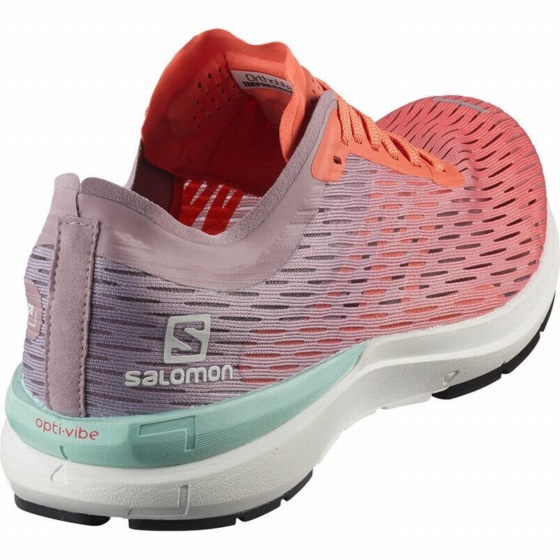 Salomon SONIC 3 ACCELERATE W Marrones Blancas | 1270QDLOA