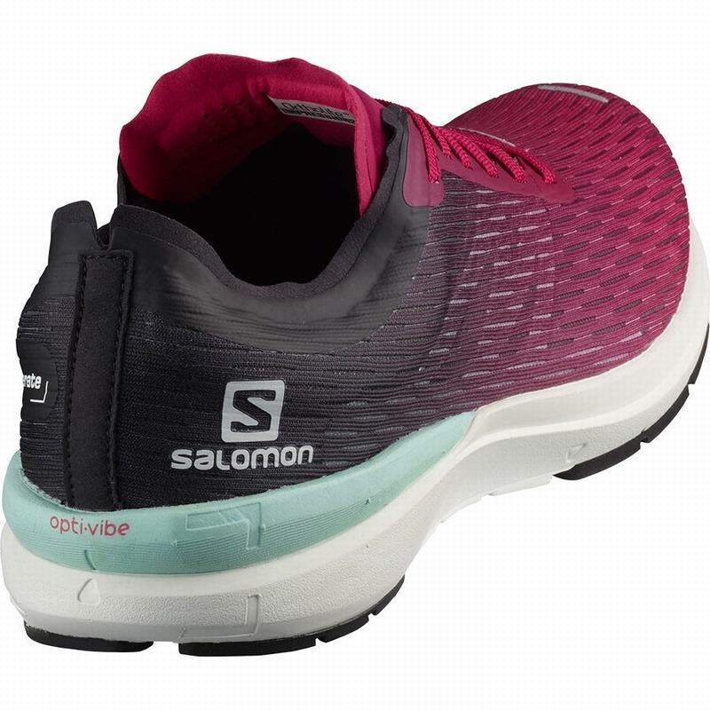 Salomon SONIC 3 ACCELERATE W Rosas Blancas | 2473EQBKH