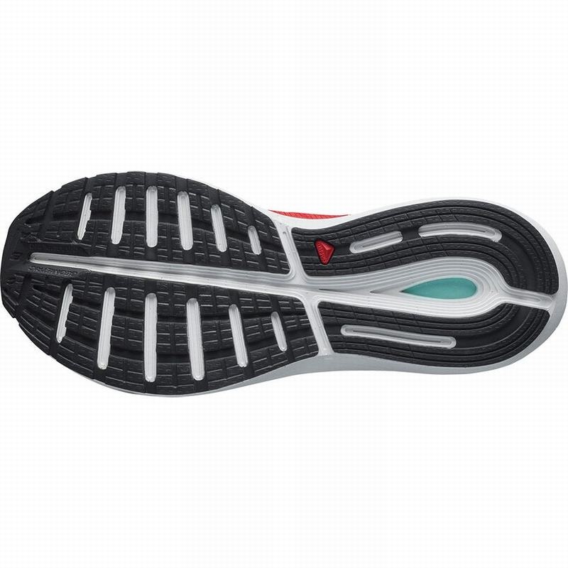 Salomon SONIC 4 BALANCE Blancas Negras | 4987QWUTR