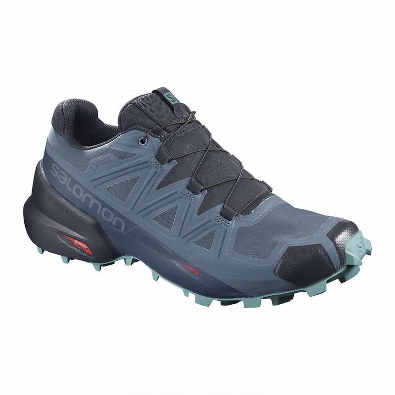 Salomon SPEEDCROSS 5 GORE-TEX Azules Azul Marino | 1965ZRETW