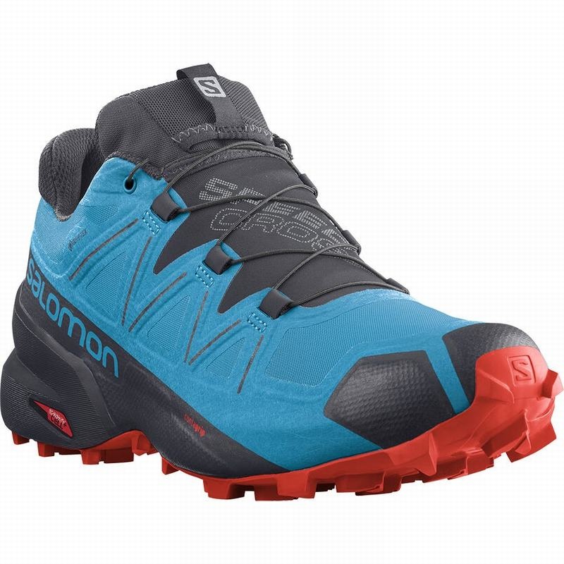 Salomon SPEEDCROSS 5 GORE-TEX Azules Negras | 2396NVQXC