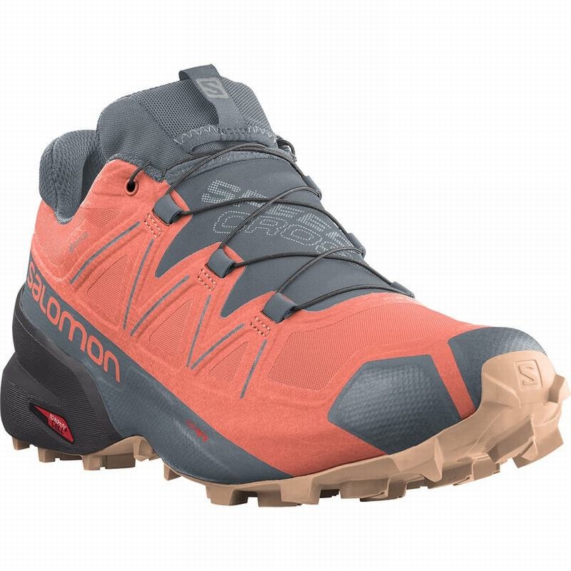 Salomon SPEEDCROSS 5 GORE-TEX Naranjas Gris | 6539WCGRZ