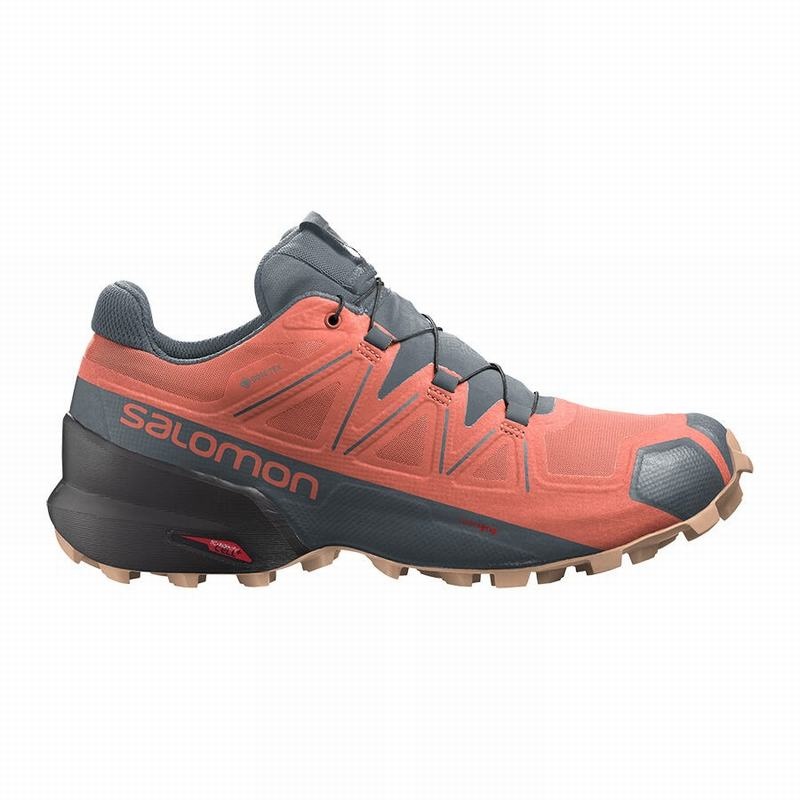 Salomon SPEEDCROSS 5 GORE-TEX Naranjas Gris | 6539WCGRZ