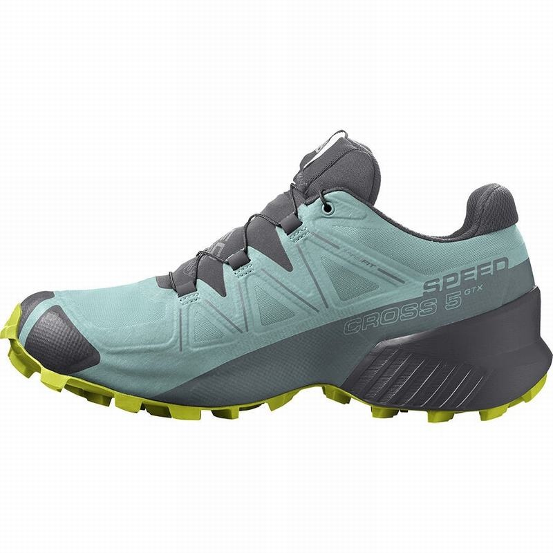 Salomon SPEEDCROSS 5 GORE-TEX Turquesa Gris Oscuro | 5109QWZYT