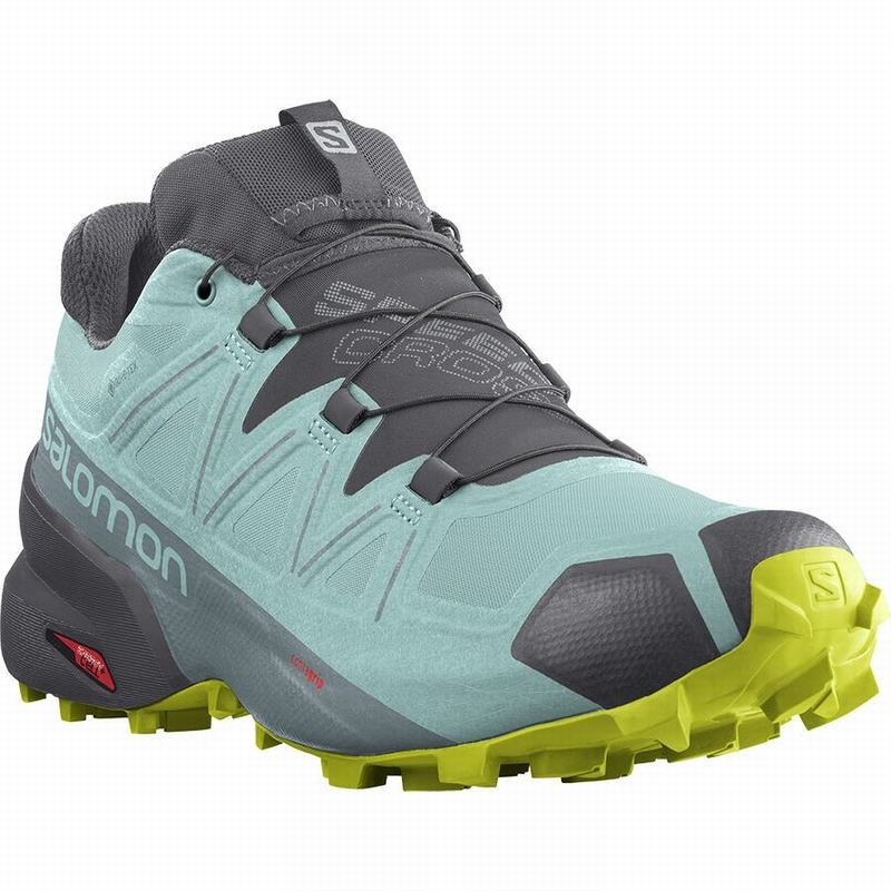 Salomon SPEEDCROSS 5 GORE-TEX Turquesa Gris Oscuro | 5109QWZYT