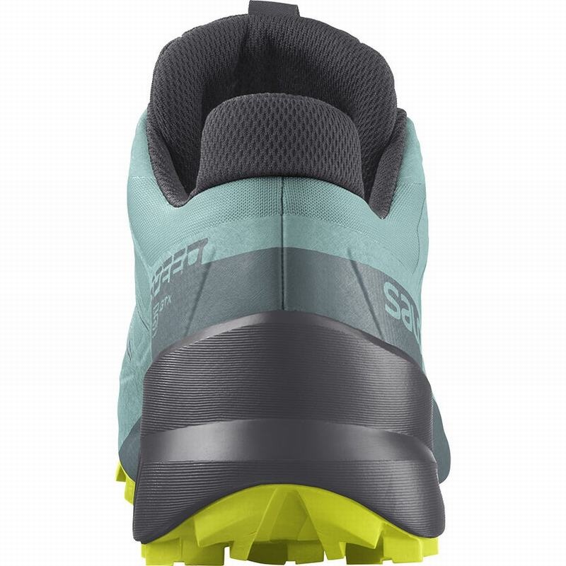 Salomon SPEEDCROSS 5 GORE-TEX Turquesa Gris Oscuro | 5109QWZYT