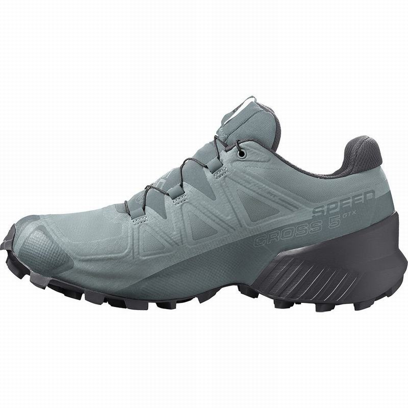 Salomon SPEEDCROSS 5 GORE-TEX Verde | 0174MJUAW