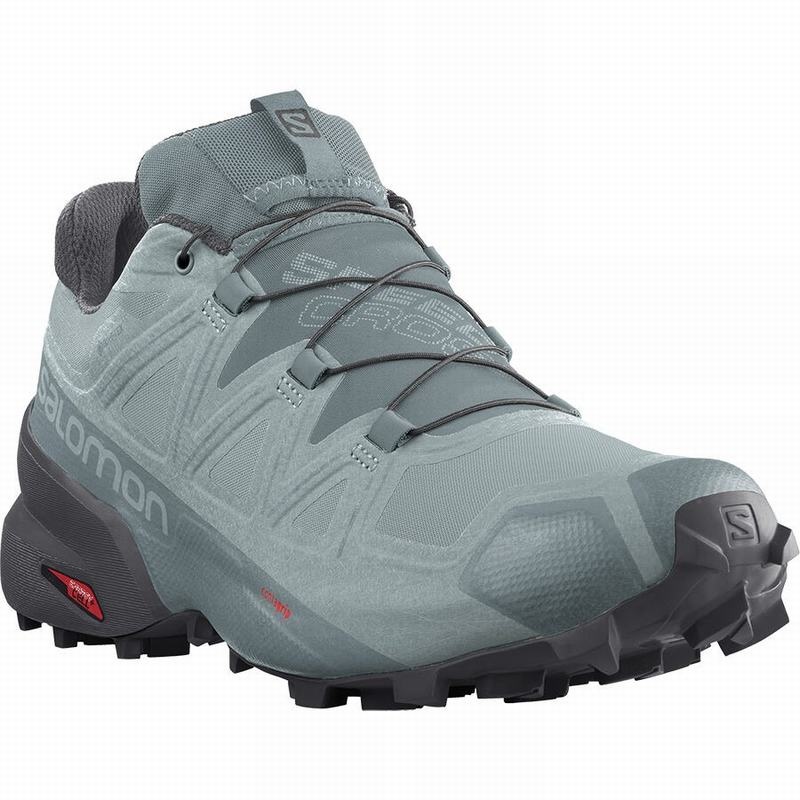 Salomon SPEEDCROSS 5 GORE-TEX Verde | 0174MJUAW