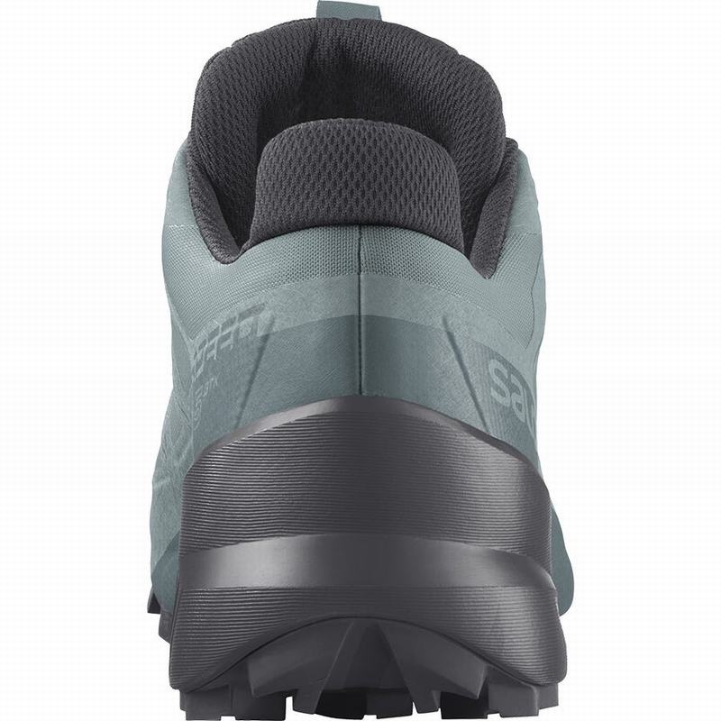 Salomon SPEEDCROSS 5 GORE-TEX Verde | 0174MJUAW