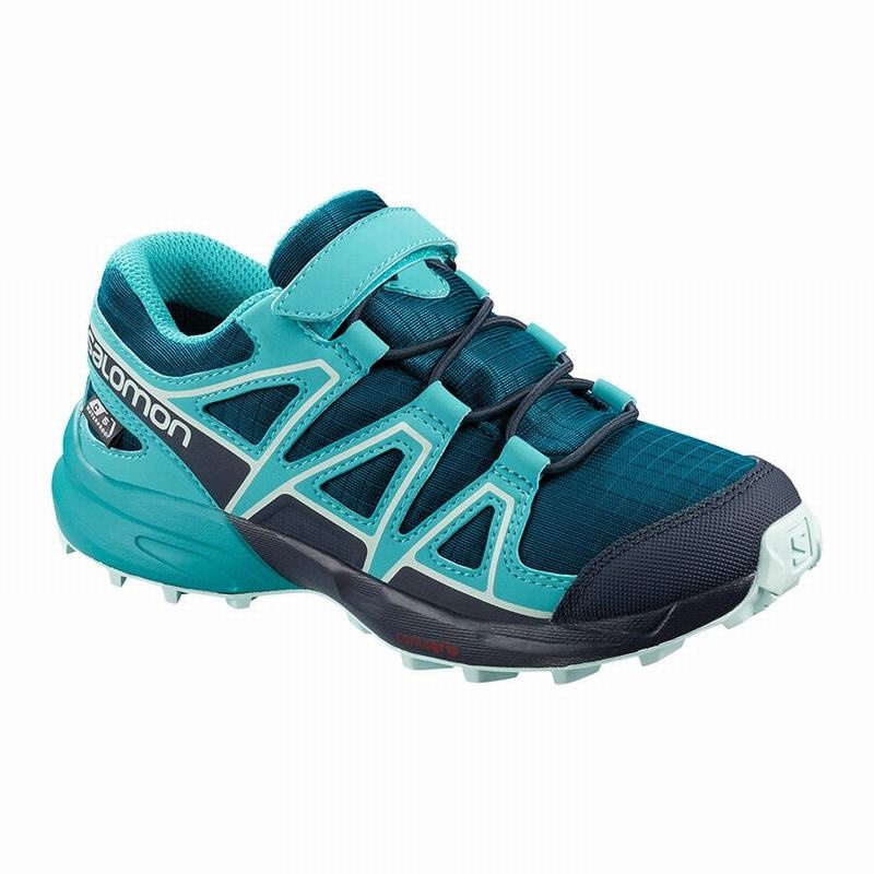 Salomon SPEEDCROSS CLIMASALOMON WATERPROOF Azules | 2796CEXFS