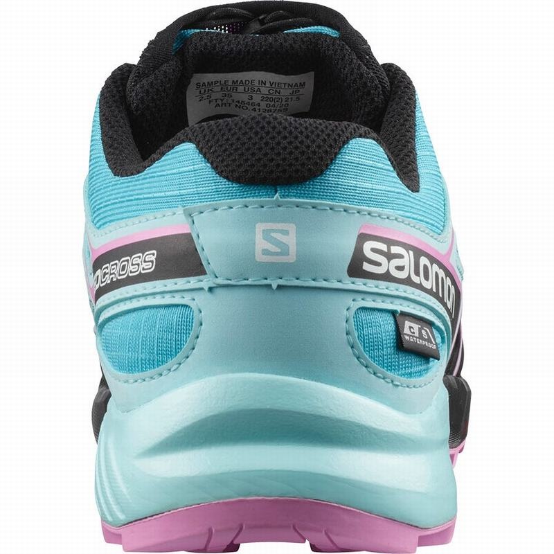 Salomon SPEEDCROSS CLIMASALOMON WATERPROOF Azules Marrones Turquesa | 2745RDXLY