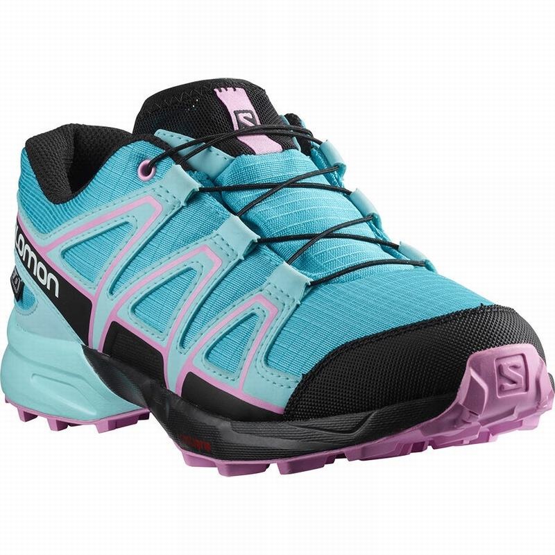 Salomon SPEEDCROSS CLIMASALOMON WATERPROOF Azules Marrones Turquesa | 2745RDXLY