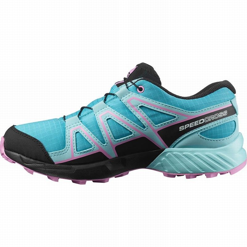 Salomon SPEEDCROSS CLIMASALOMON WATERPROOF Azules Marrones Turquesa | 2745RDXLY