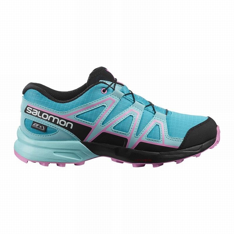 Salomon SPEEDCROSS CLIMASALOMON WATERPROOF Azules Marrones Turquesa | 2745RDXLY