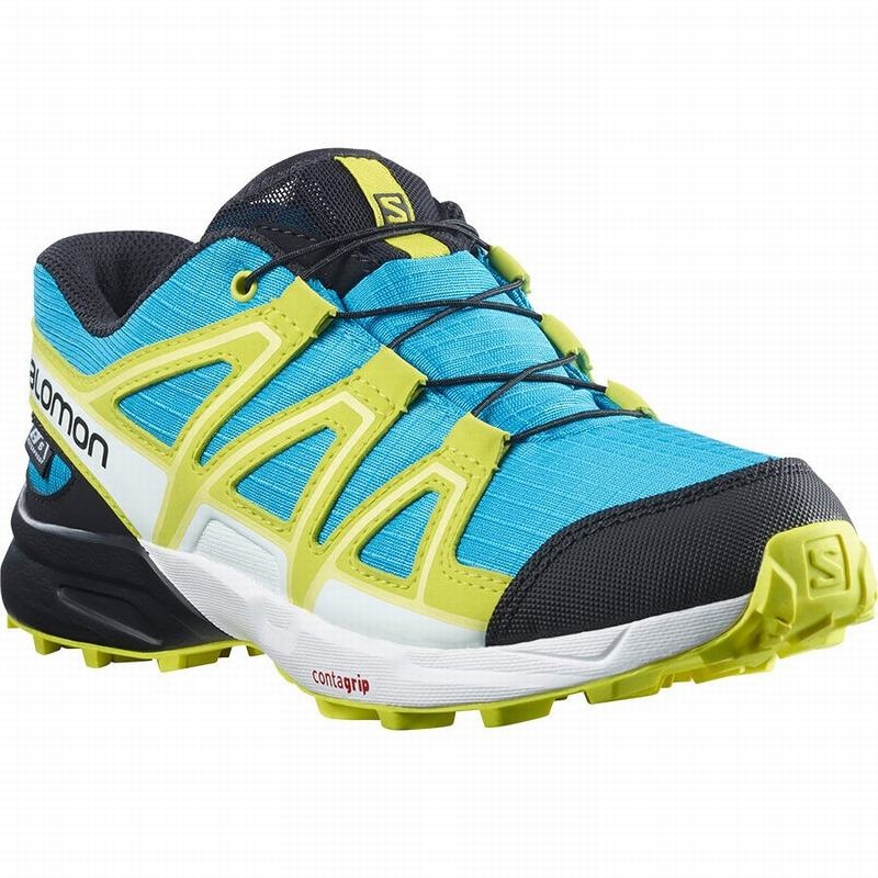 Salomon SPEEDCROSS CLIMASALOMON WATERPROOF Azules Verde | 8524AQCEZ