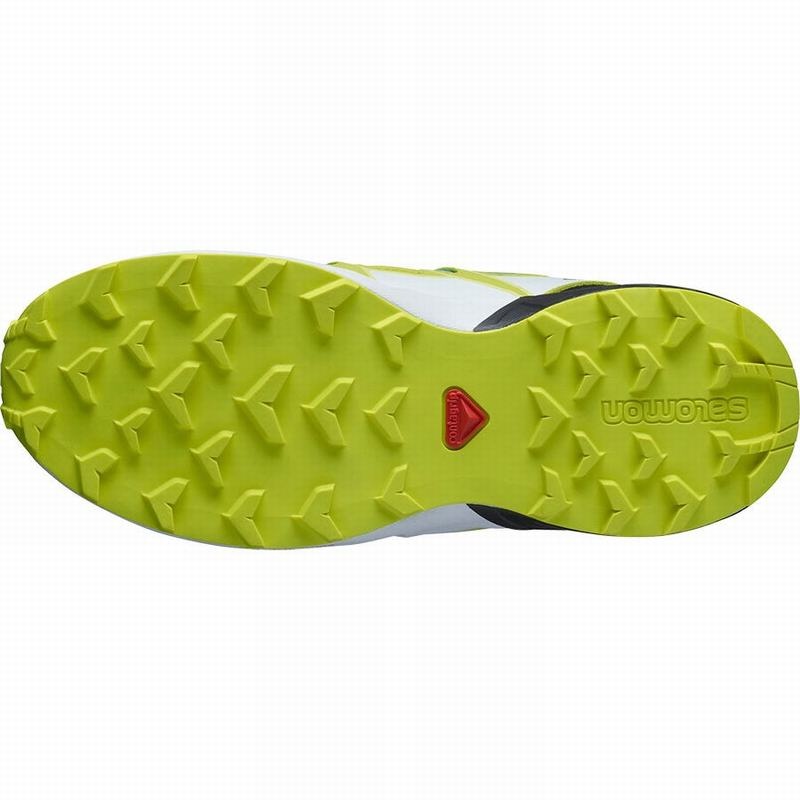 Salomon SPEEDCROSS CLIMASALOMON WATERPROOF Azules Verde | 8524AQCEZ