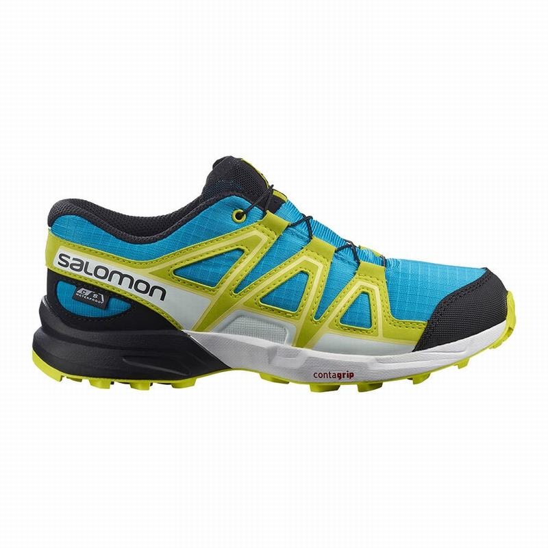 Salomon SPEEDCROSS CLIMASALOMON WATERPROOF Azules Verde | 8524AQCEZ