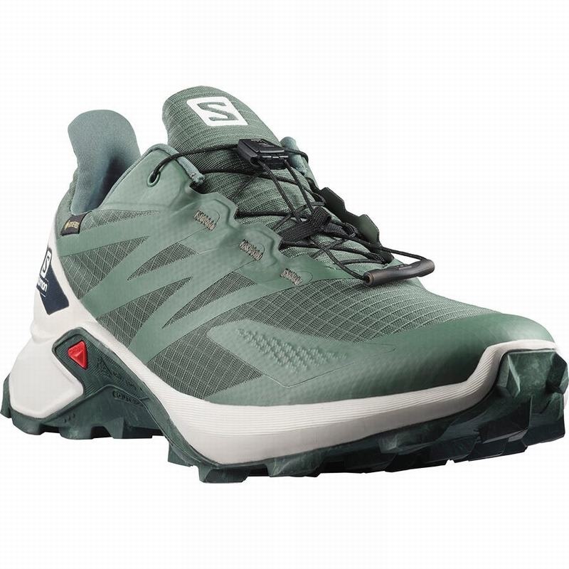 Salomon SUPERCROSS BLAST GTX Verde | 9520CZDSR