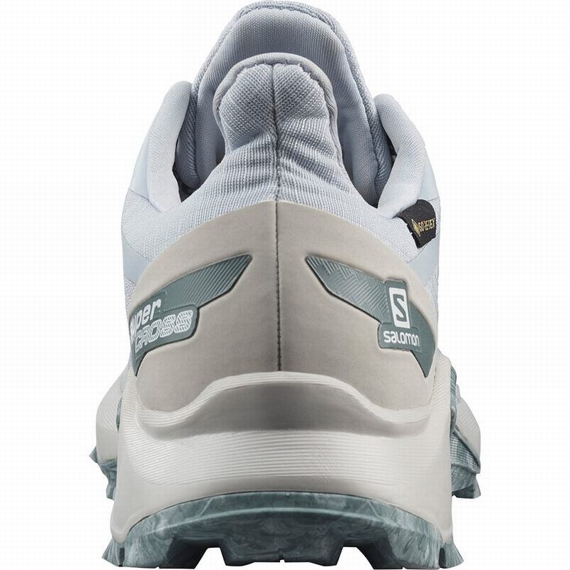 Salomon SUPERCROSS BLAST GTX W Gris | 5614YNIME