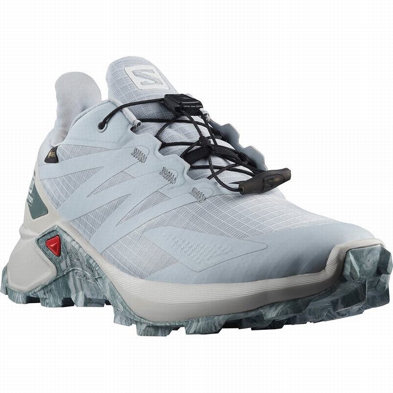 Salomon SUPERCROSS BLAST GTX W Gris | 5614YNIME