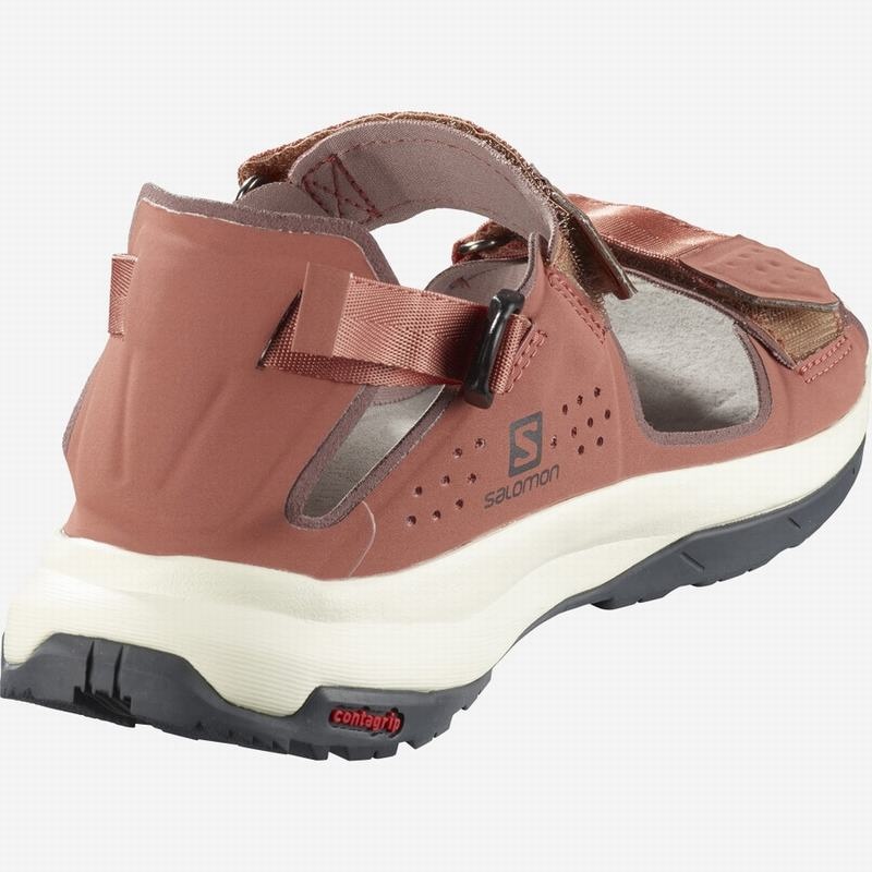 Salomon TECH FEEL Albaricoque | 9687DYKGP