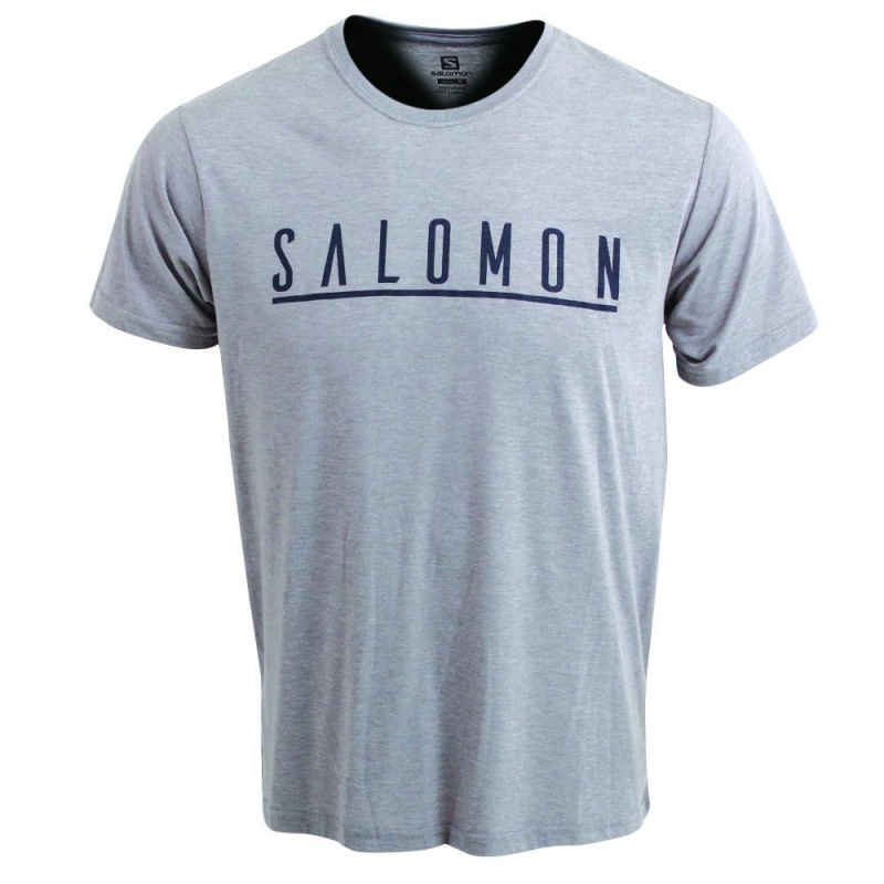 Salomon UNDERSCORE SS M Gris | 3958MAWGT