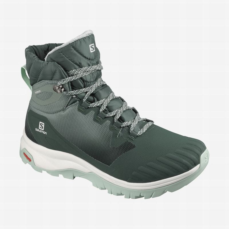 Salomon VAYA BLAZE THINSULATE CLIMASALOMON WATERPROOF Verde | 5026ZPQKC