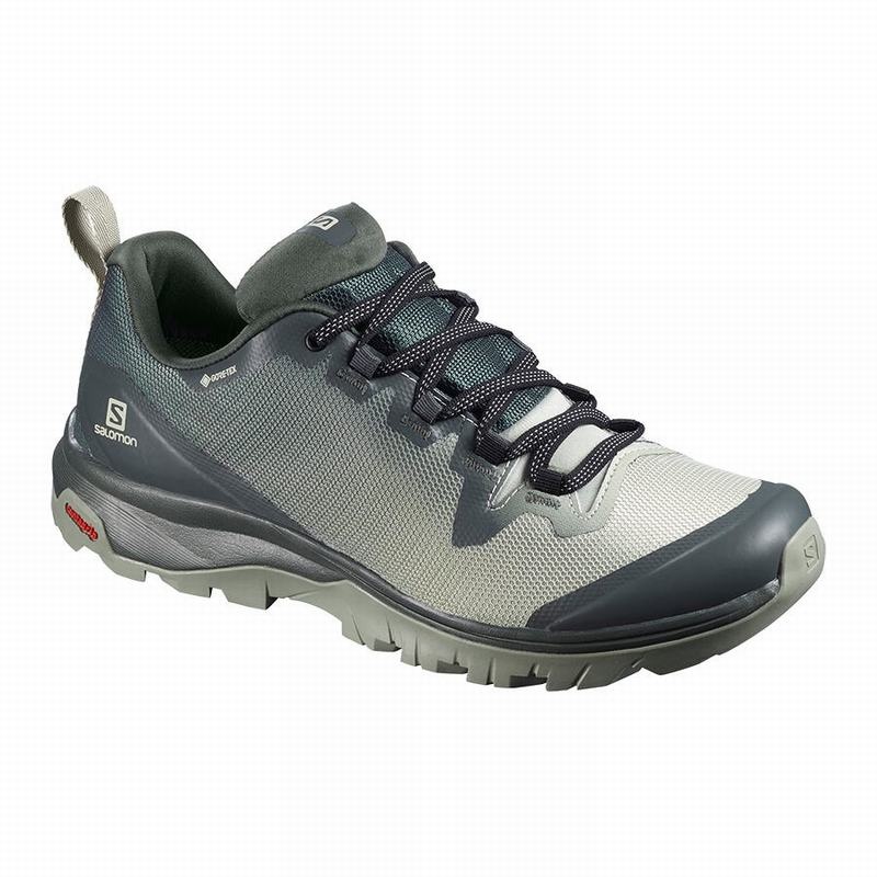 Salomon VAYA GORE-TEX Gris | 1569SAUZJ