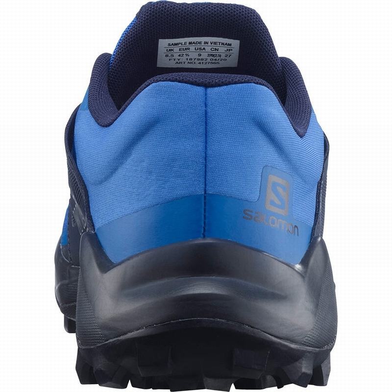 Salomon WILDCROSS Azules | 7986VHJIA