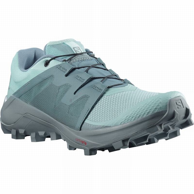 Salomon WILDCROSS GTX Turquesa Turquesa | 0642GZBFI