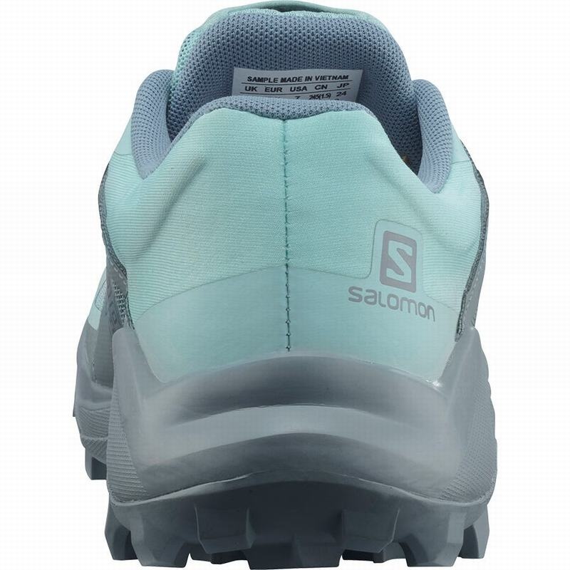 Salomon WILDCROSS GTX Turquesa Turquesa | 0642GZBFI