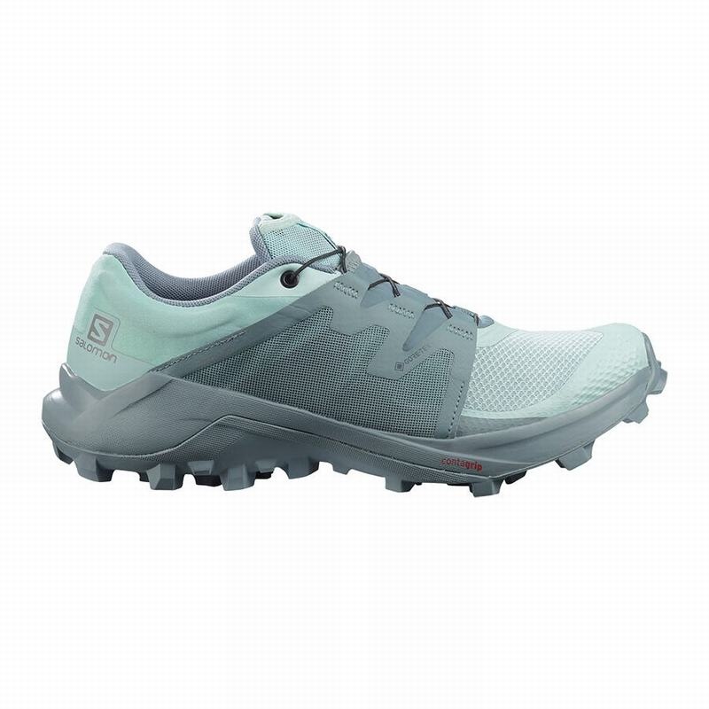 Salomon WILDCROSS GTX Turquesa Turquesa | 0642GZBFI