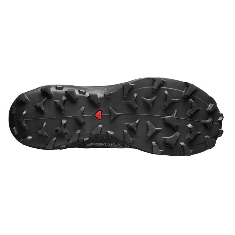 Salomon WILDCROSS Negras | 1497EDQCR