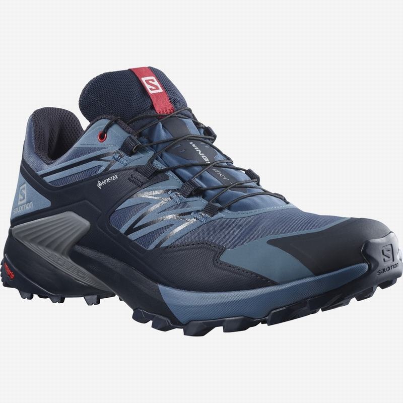 Salomon WINGS SKY GORE-TEX Azul Marino Rojas | 9853ZRAKM