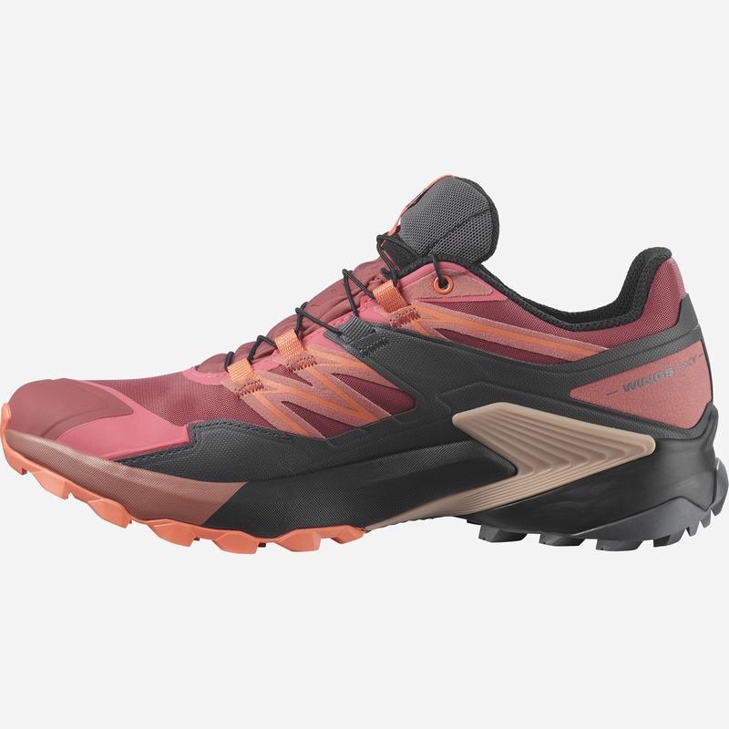 Salomon WINGS SKY GORE-TEX Rojas Negras | 2039YPJZU