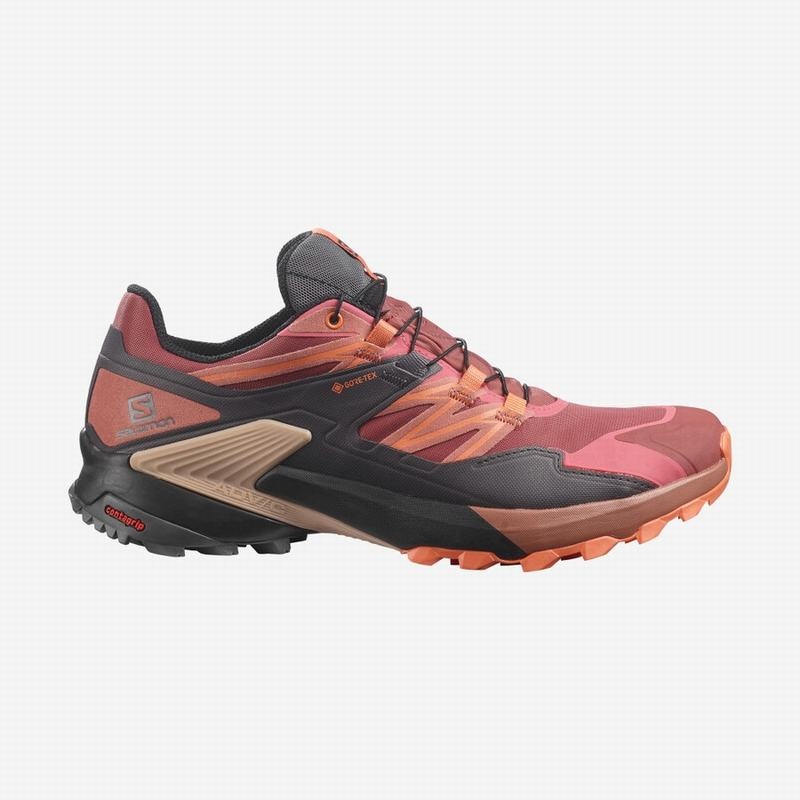 Salomon WINGS SKY GORE-TEX Rojas Negras | 2039YPJZU